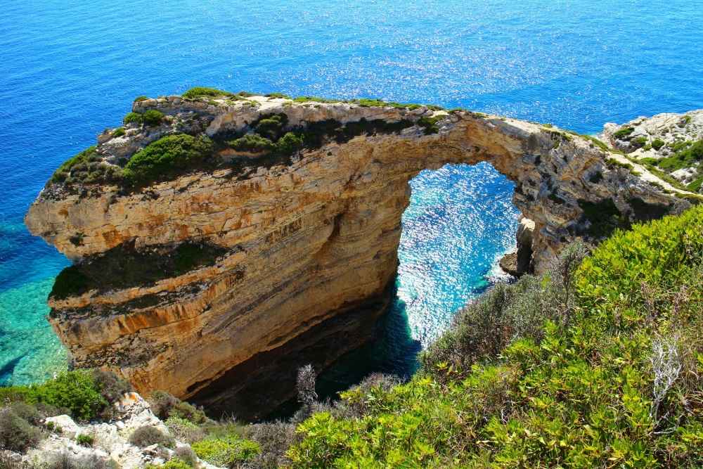 Tripotos arch Paxos-and-Antipaxos