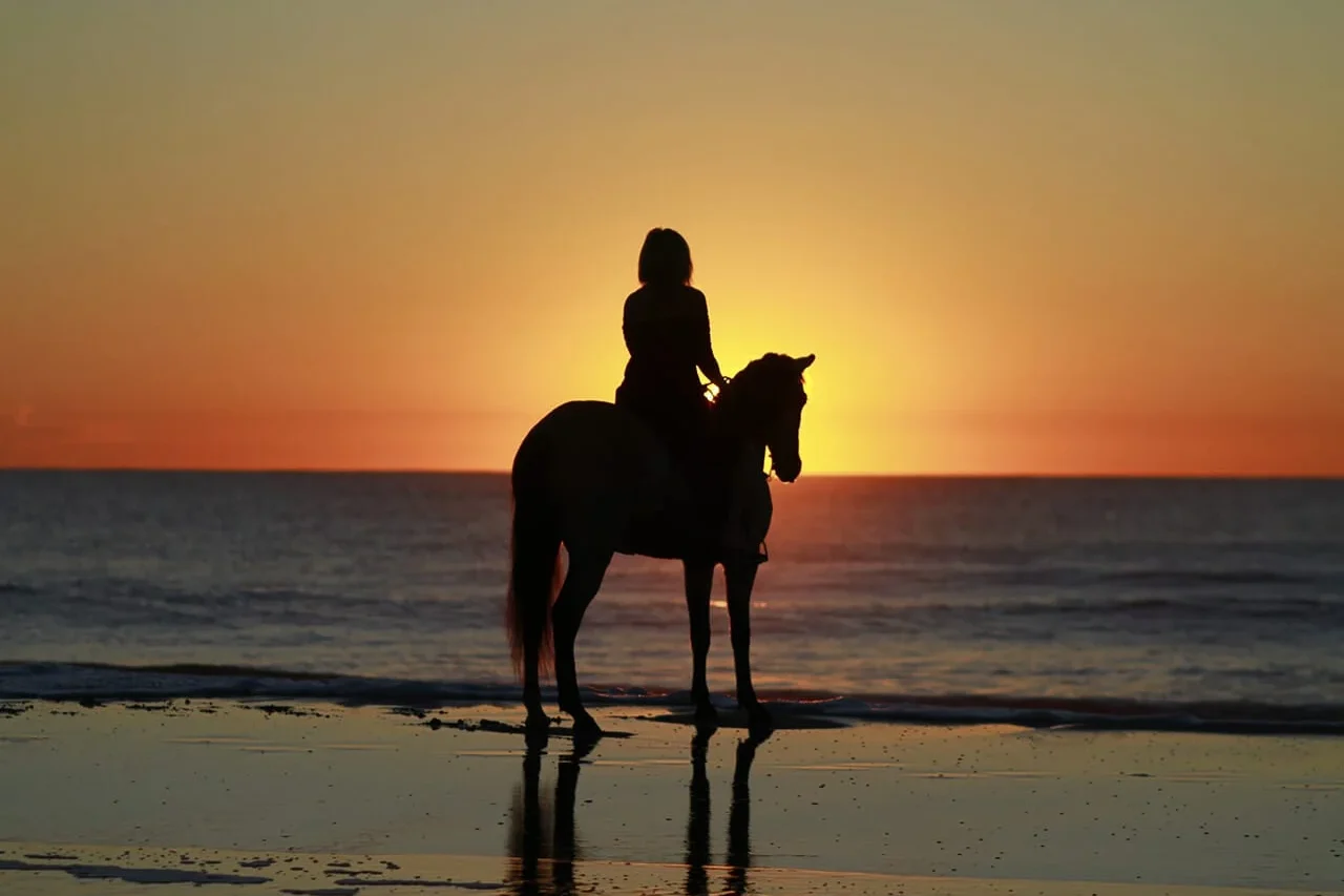 south-corfu-horses-chalikounas